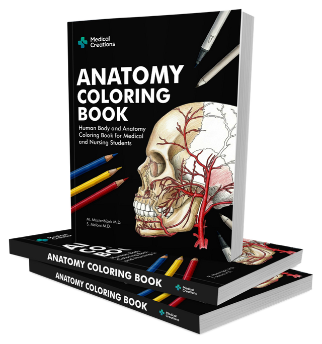 ANATOMY COLORING BOOK