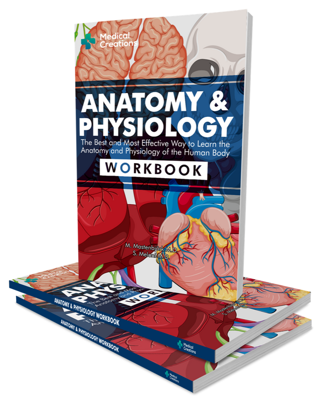 ANATOMY & PHYSIOLOGY WORKBOOK